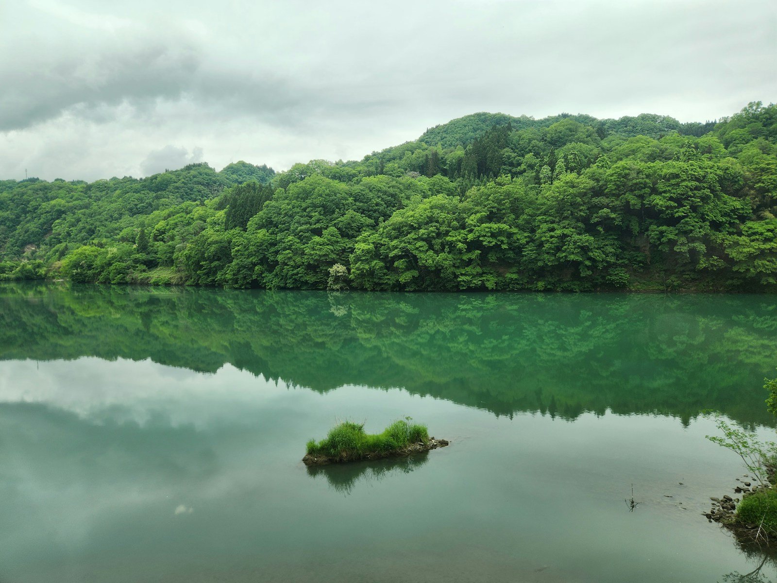 nagano tonic